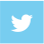 Twitter Sharing Feature