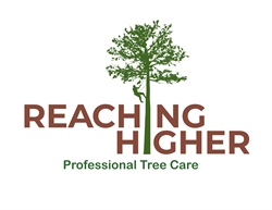 Reaching Higher Tree Service Shane DeVoe
